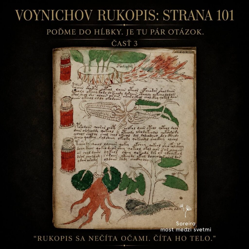 117/2026 ČASŤ 3. : PREČO SÚ KRESLENÉ ŽENY, POPIS STRANY 101